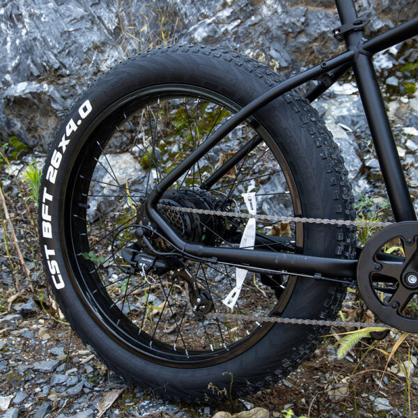 Professional Electric Bike For Adults, 26 X 4.0 Inches Fat Tire Electric Mountain Bicycle, 1000W Motor 48V 15Ah Ebike For Trail Riding, Excursion And Commute, - Image 9